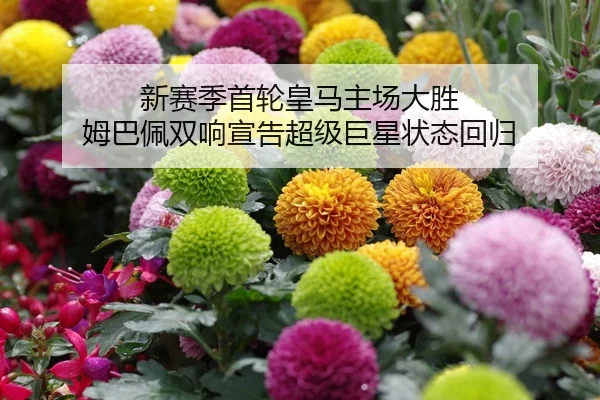 新赛季首轮皇马主场大胜 姆巴佩双响宣告超级巨星状态回归