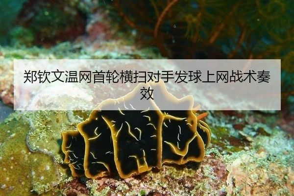 郑钦文温网首轮横扫对手发球上网战术奏效